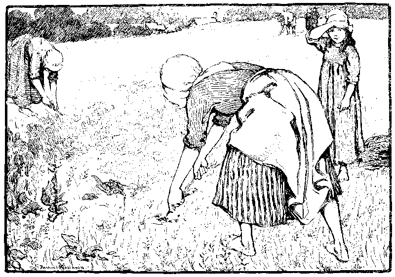 [Illustration] from Ruth of Boston by James Otis