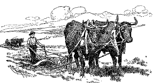 [Illustration] from Seth of Colorado by James Otis