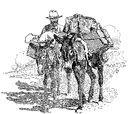 [Illustration] from Seth of Colorado by James Otis