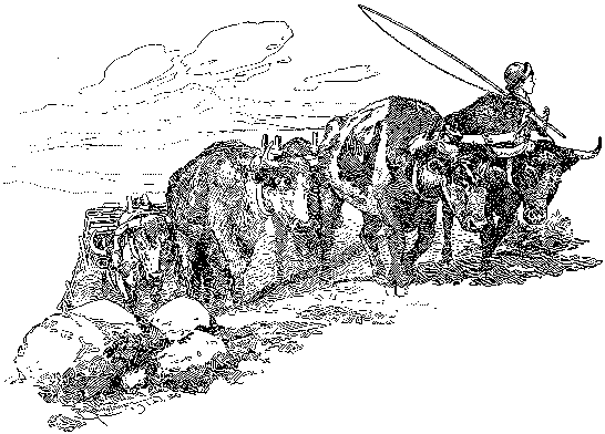 [Illustration] from Seth of Colorado by James Otis