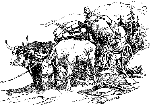 [Illustration] from Seth of Colorado by James Otis