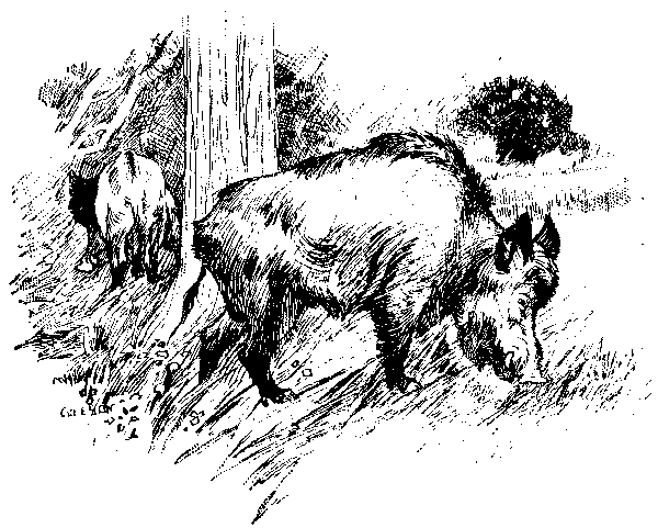 [Illustration] from Richard of Jamestown by James Otis