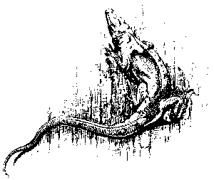 [Illustration] from Richard of Jamestown by James Otis