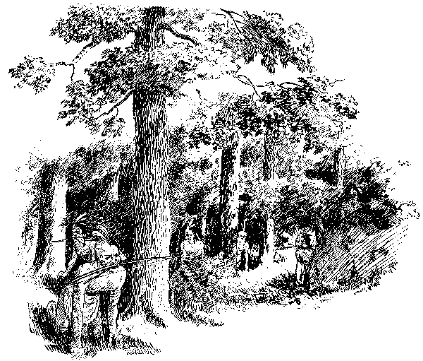 [Illustration] from Richard of Jamestown by James Otis