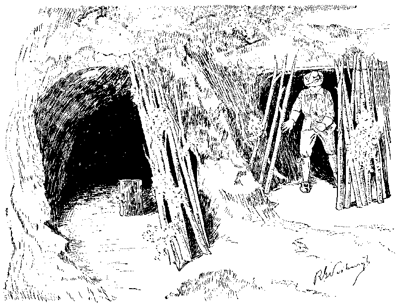 [Illustration] from Richard of Jamestown by James Otis