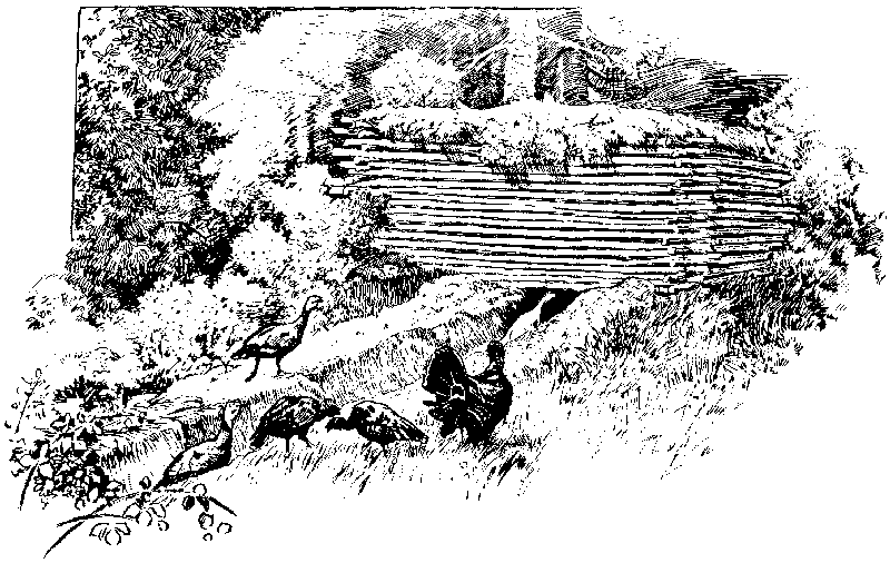 [Illustration] from Richard of Jamestown by James Otis