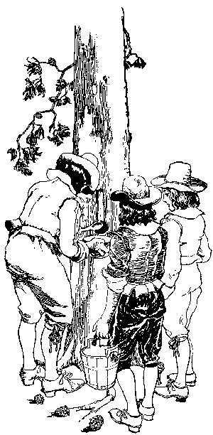 [Illustration] from Richard of Jamestown by James Otis