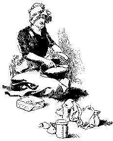 [Illustration] from Hannah of Kentucky by James Otis