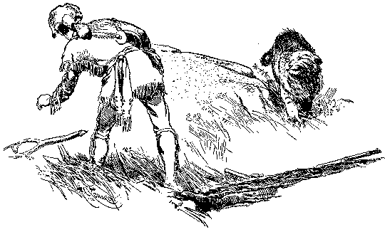 [Illustration] from Hannah of Kentucky by James Otis