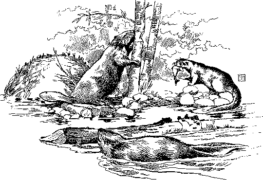 [Illustration] from Hannah of Kentucky by James Otis