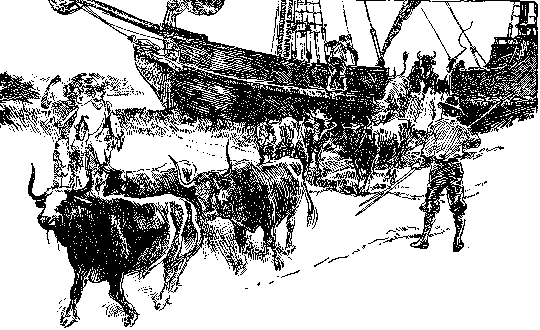 [Illustration] from Calvert of Maryland by James Otis