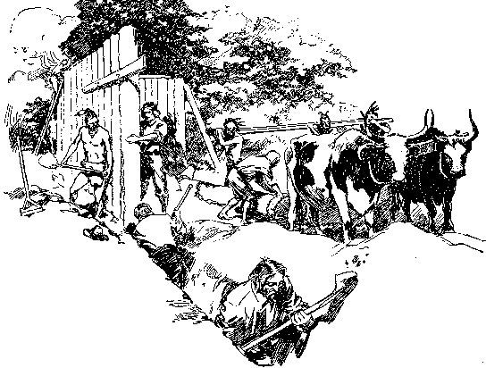 [Illustration] from Calvert of Maryland by James Otis