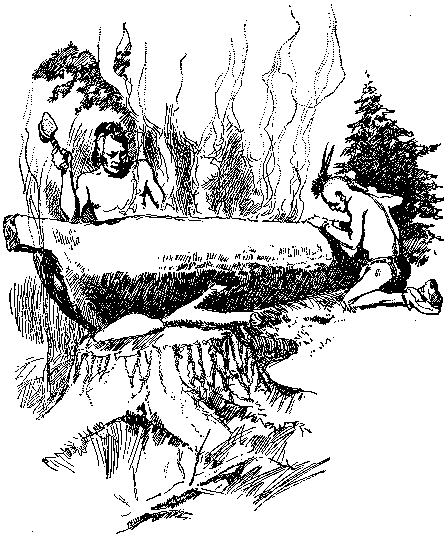 [Illustration] from Calvert of Maryland by James Otis