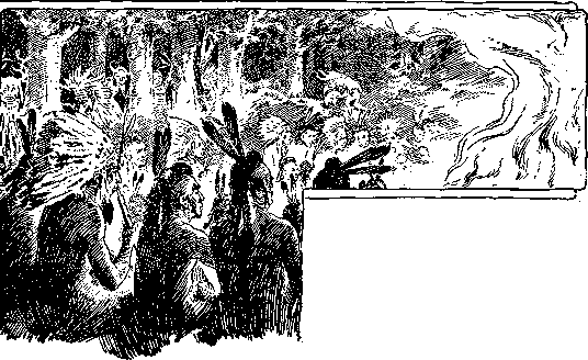 [Illustration] from Calvert of Maryland by James Otis