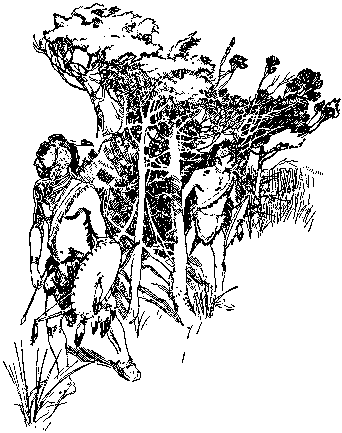 [Illustration] from Calvert of Maryland by James Otis