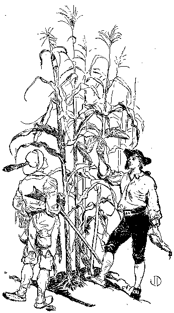 [Illustration] from Benjamin of Ohio by James Otis