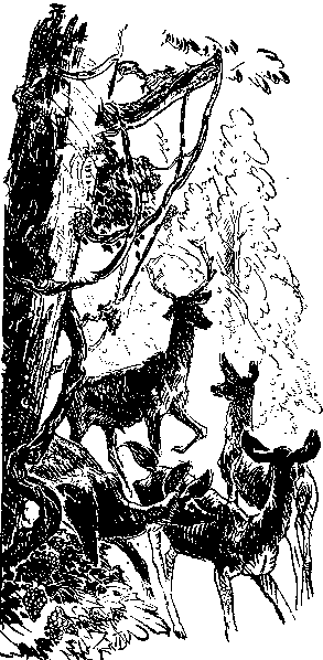 [Illustration] from Benjamin of Ohio by James Otis