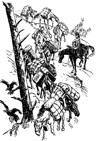 [Illustration] from Benjamin of Ohio by James Otis