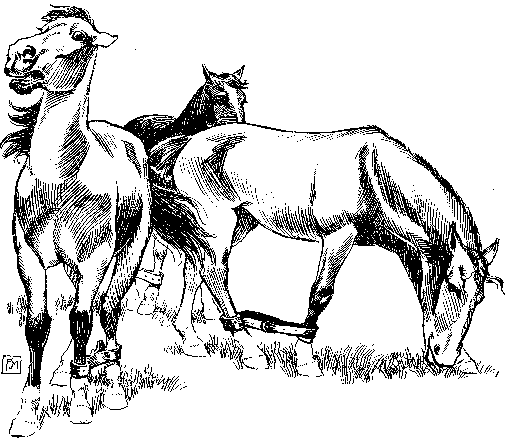 [Illustration] from Antoine of Oregon by James Otis