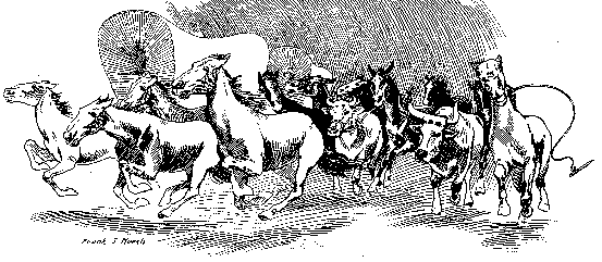 [Illustration] from Antoine of Oregon by James Otis