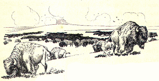 [Illustration] from Antoine of Oregon by James Otis