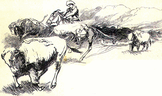 [Illustration] from Antoine of Oregon by James Otis