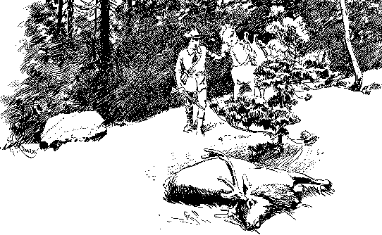 [Illustration] from Antoine of Oregon by James Otis