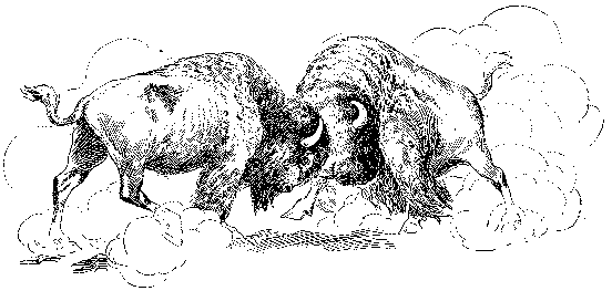 [Illustration] from Antoine of Oregon by James Otis