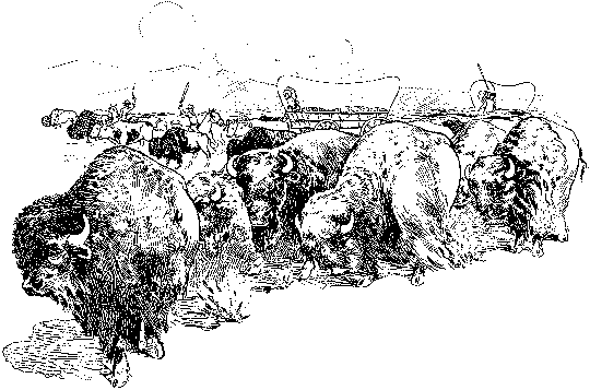 [Illustration] from Antoine of Oregon by James Otis