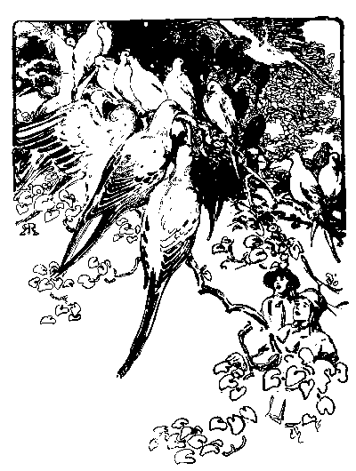 [Illustration] from Stephen of Philadelphia by James Otis