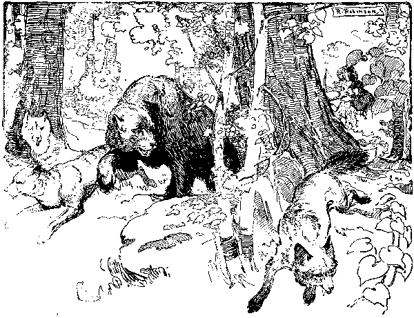 [Illustration] from Stephen of Philadelphia by James Otis