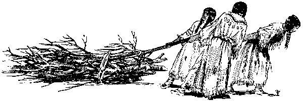 [Illustration] from Stephen of Philadelphia by James Otis