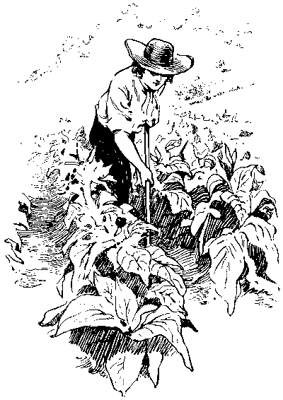 [Illustration] from Stephen of Philadelphia by James Otis