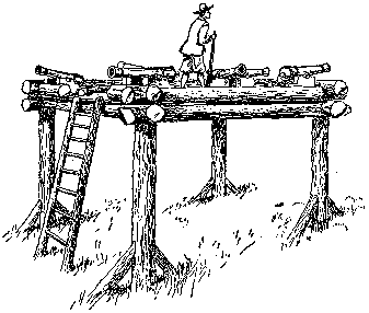 [Illustration] from Mary of Plymouth by James Otis