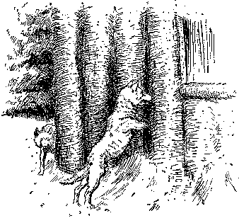 [Illustration] from Mary of Plymouth by James Otis