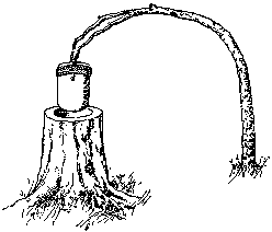 [Illustration] from Mary of Plymouth by James Otis