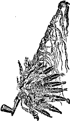 [Illustration] from Mary of Plymouth by James Otis