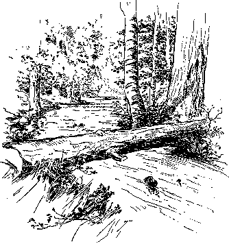 [Illustration] from Mary of Plymouth by James Otis