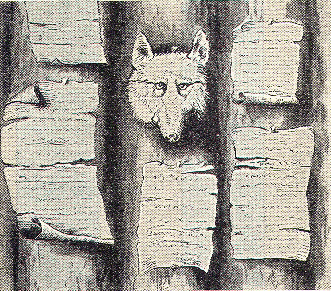 [Illustration] from Mary of Plymouth by James Otis