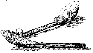 [Illustration] from Mary of Plymouth by James Otis