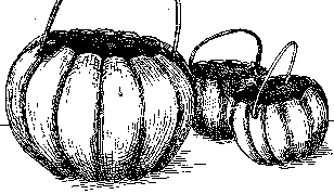 [Illustration] from Mary of Plymouth by James Otis