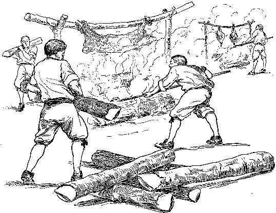 [Illustration] from Mary of Plymouth by James Otis