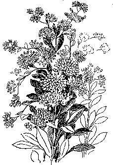 [Illustration] from Mary of Plymouth by James Otis