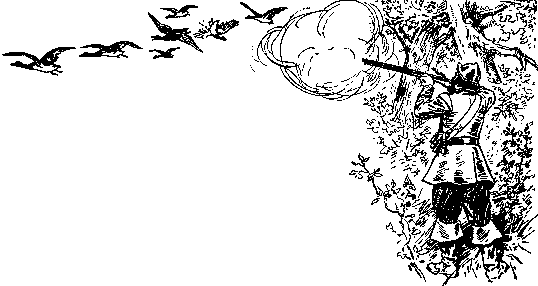 [Illustration] from Mary of Plymouth by James Otis