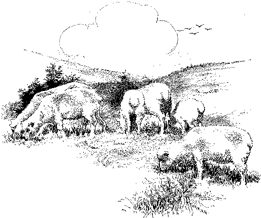 [Illustration] from Philip of Texas by James Otis