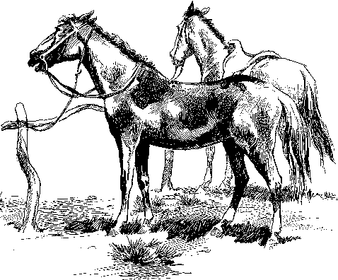 [Illustration] from Philip of Texas by James Otis