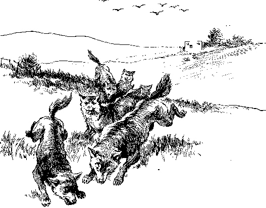 [Illustration] from Philip of Texas by James Otis