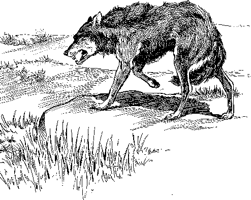 [Illustration] from Philip of Texas by James Otis