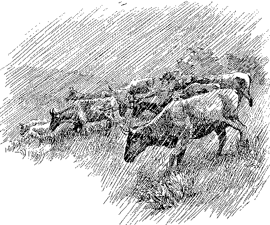 [Illustration] from Philip of Texas by James Otis