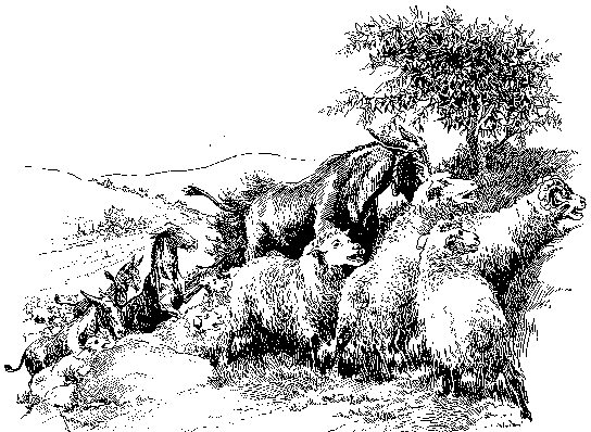 [Illustration] from Philip of Texas by James Otis